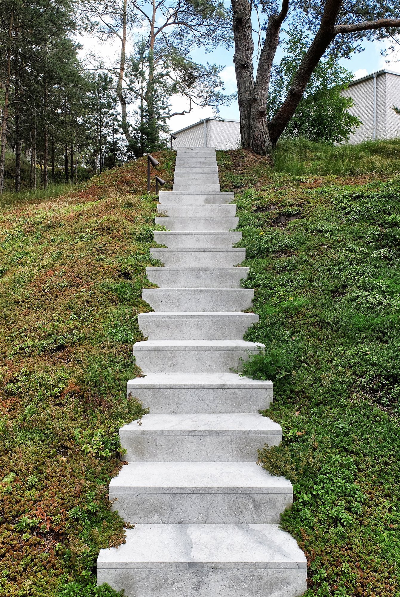 Casa moderna con fachada de piedra en mitad del bosque escaleras de acceso