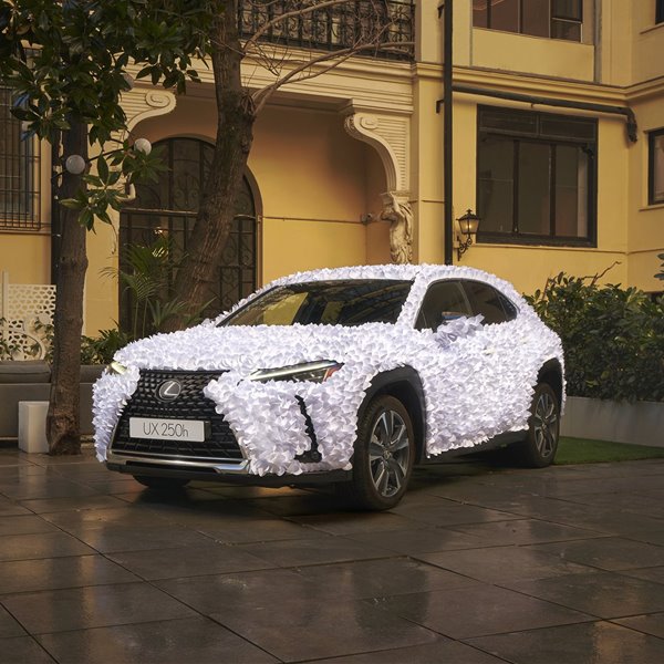 El UX 250 Lexus sirve como lienzo tridimensional para el arte