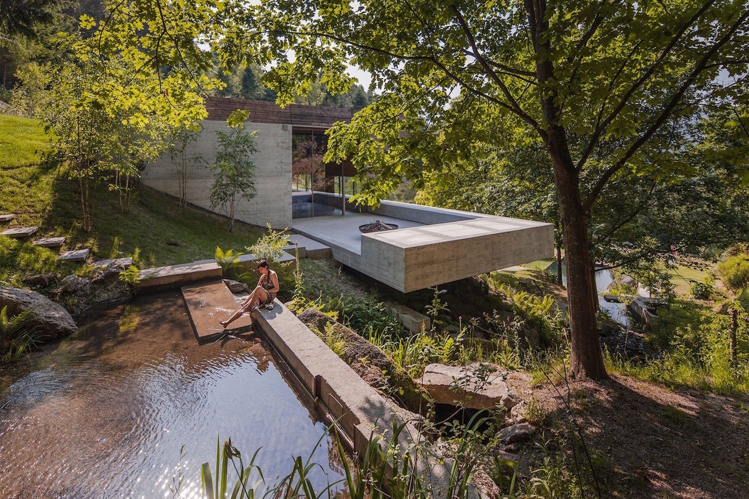 Casa moderna en la naturaleza con piscina natural