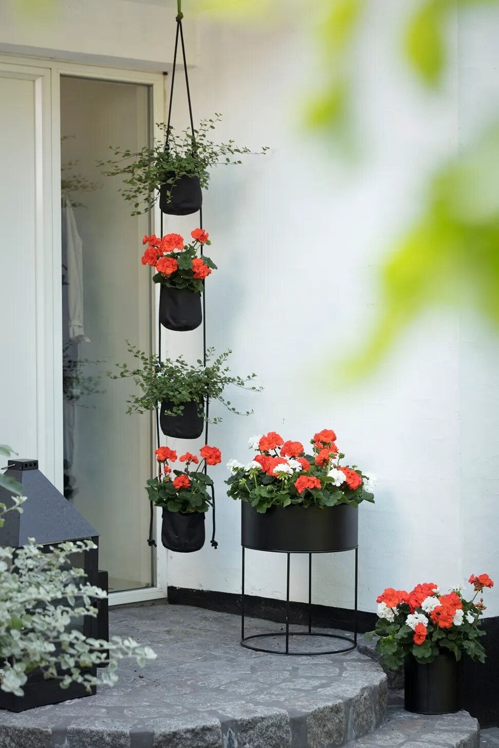 Entrada de una casa con geranios rojos en jardineras negras