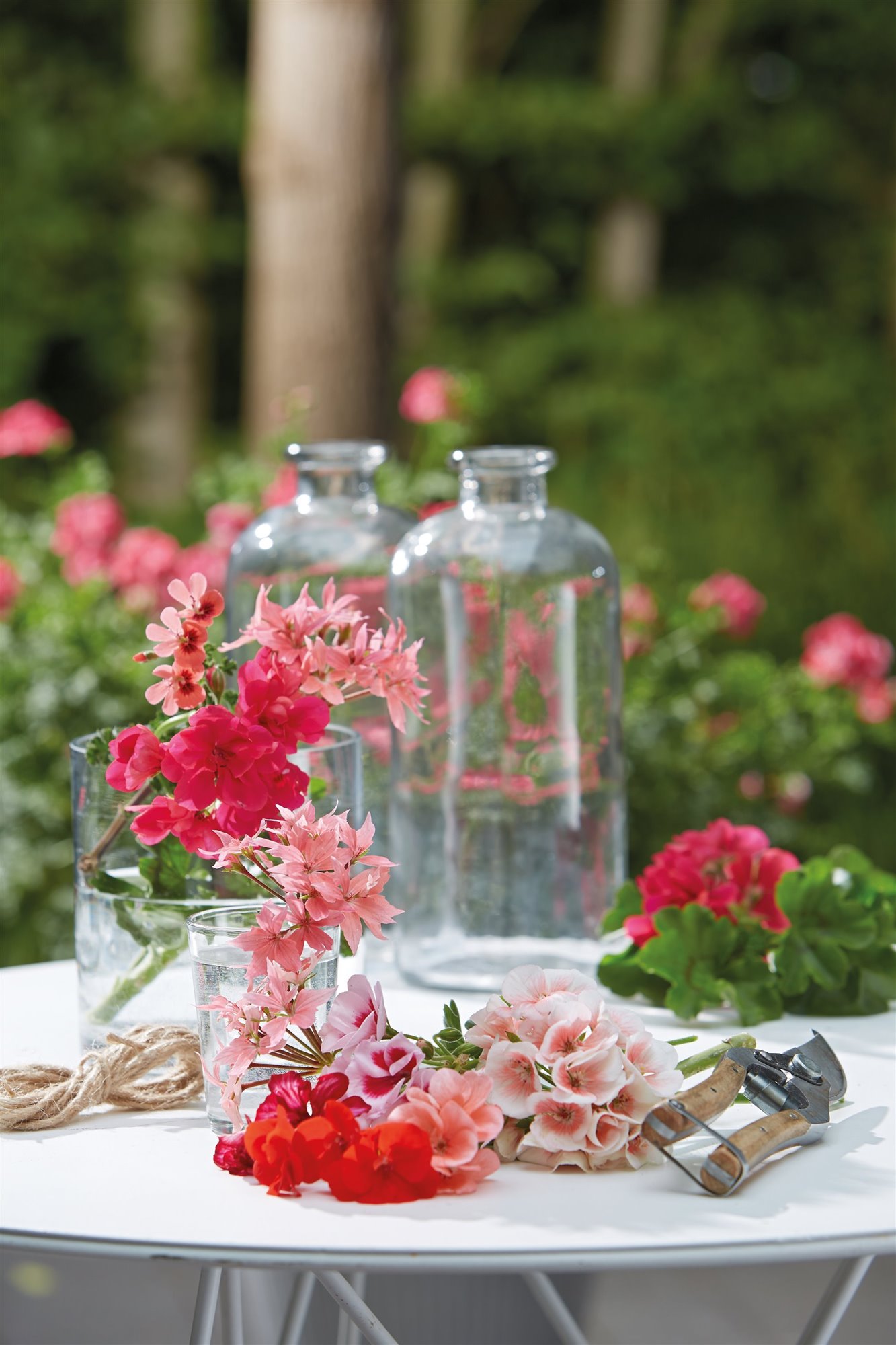 Mesa de jardin con geranios y tijeras de podar