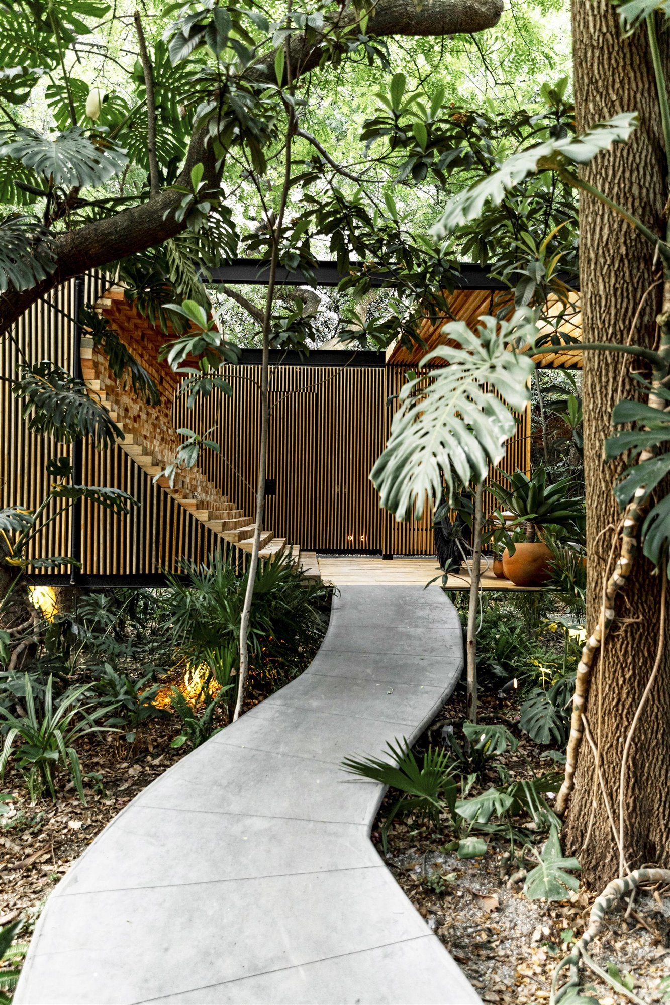 Casa moderna en Mexico rodeada de vegetacion en la selva camino de entrada