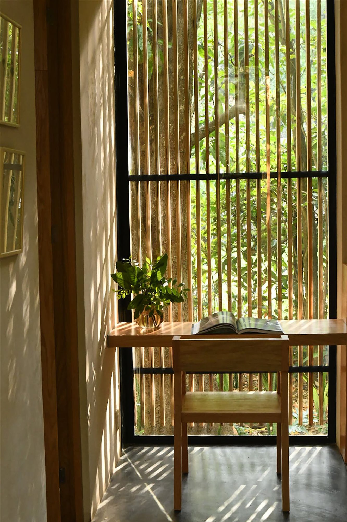 Casa moderna en Mexico rodeada de vegetacion en la selva estudio