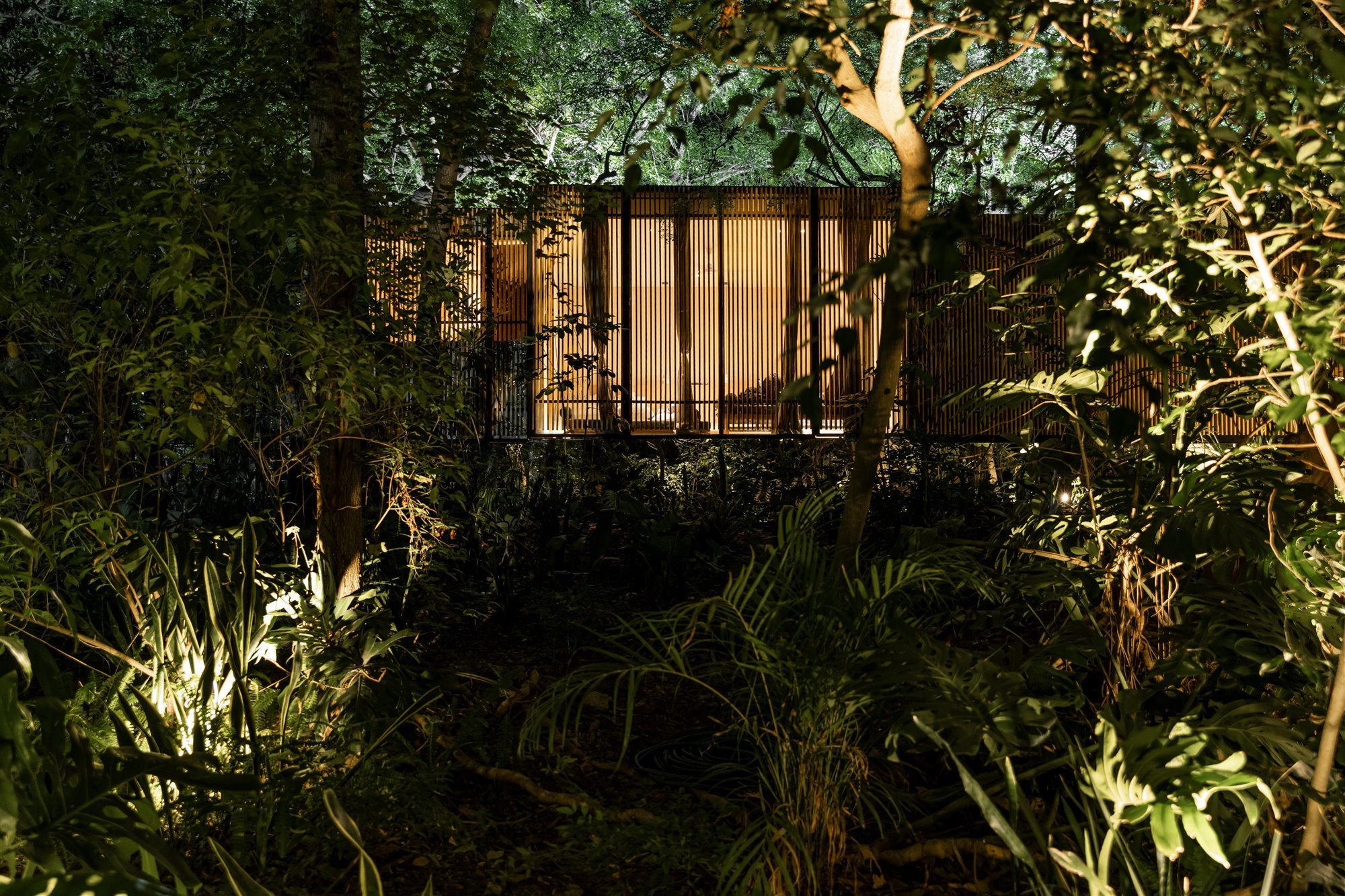 Casa moderna en Mexico rodeada de vegetacion en la selva vista de noche