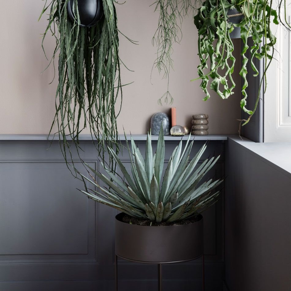 Macetero para plantas grandes. Grandes tiestos