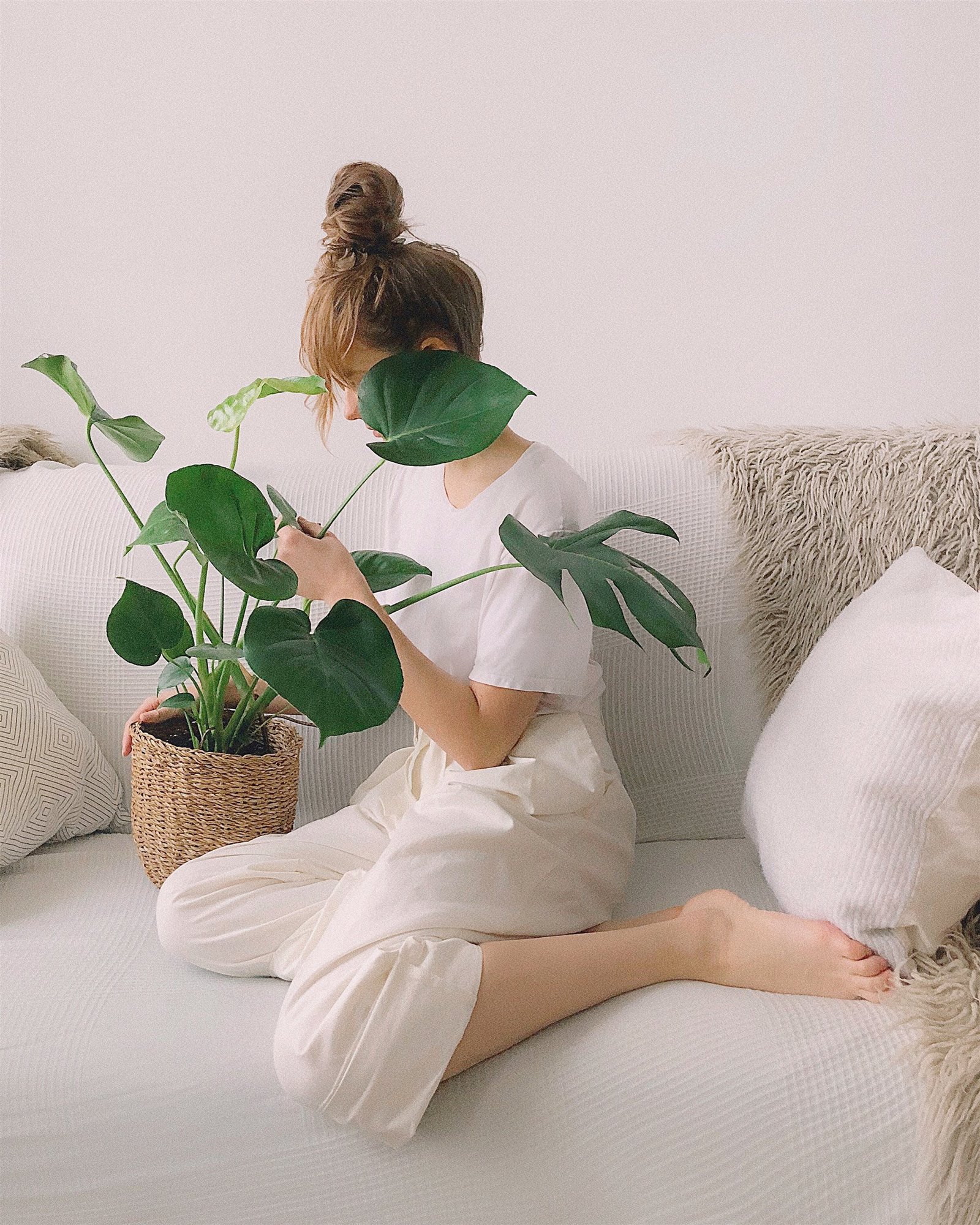 Chica con una planta monstera en el sofa de casa. Mide la temperatura