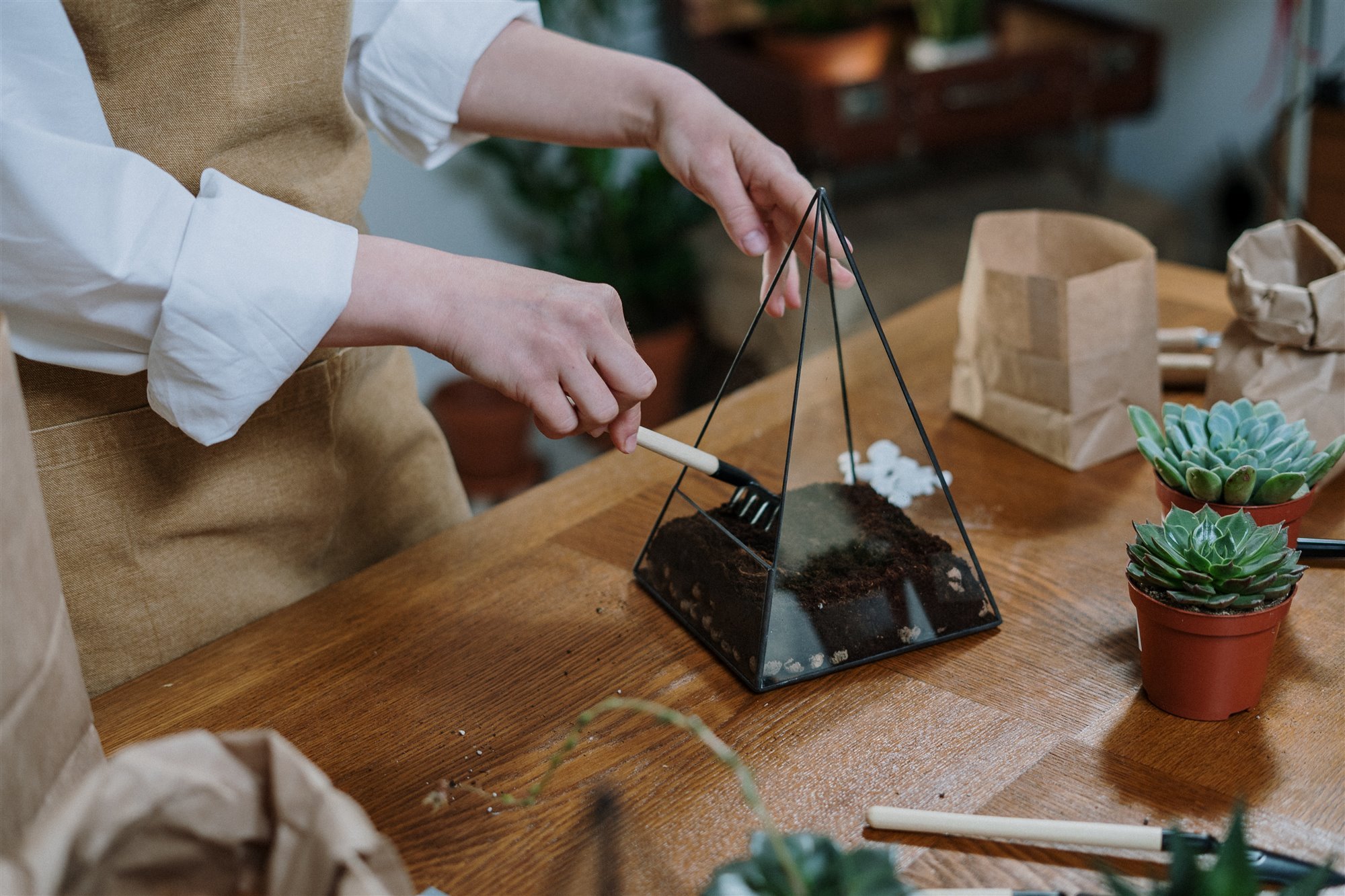 manualidad para decorar tu casa terrario. Tu propio terrario