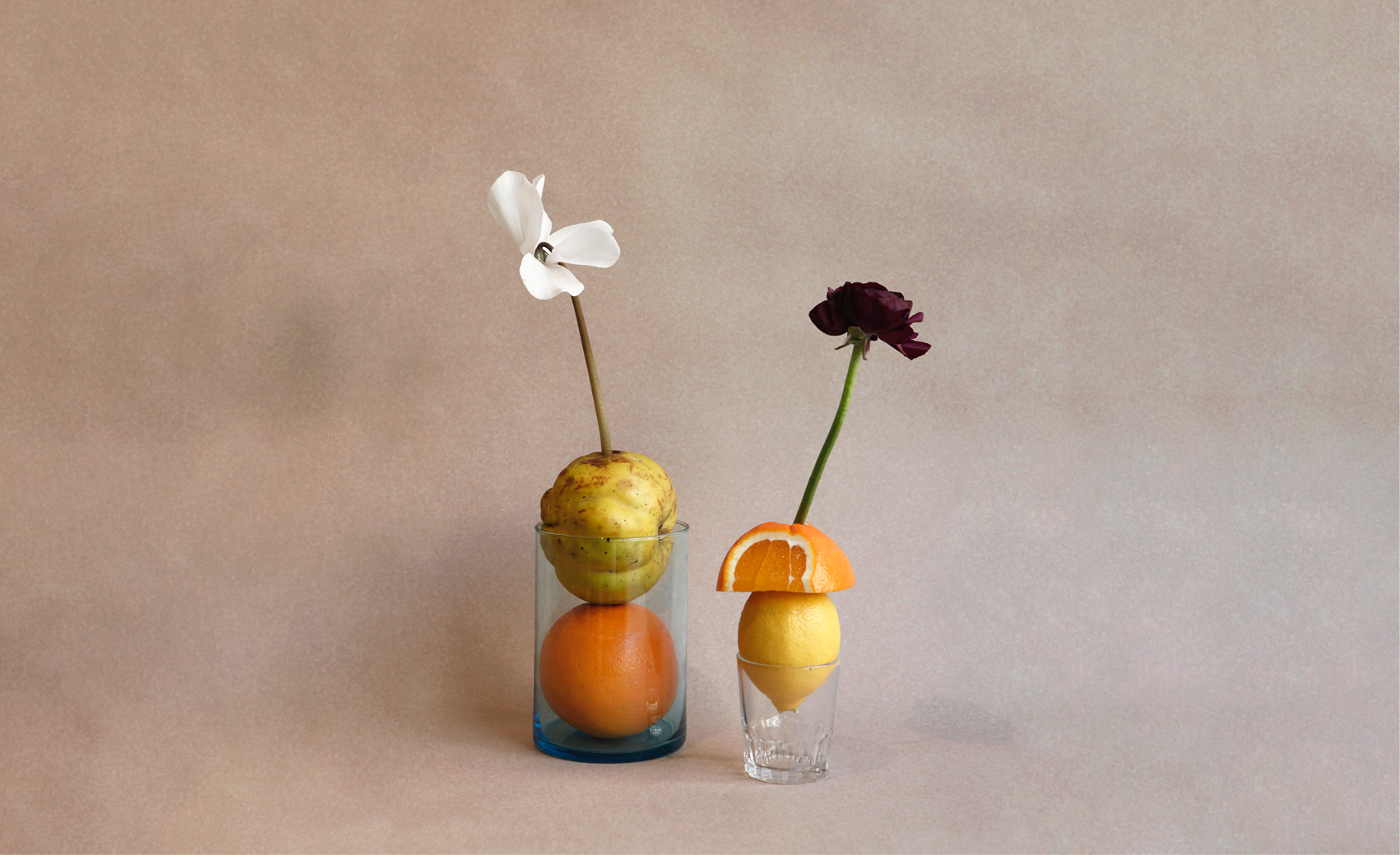Frutas con vasos de cristal de Rasa Botanical