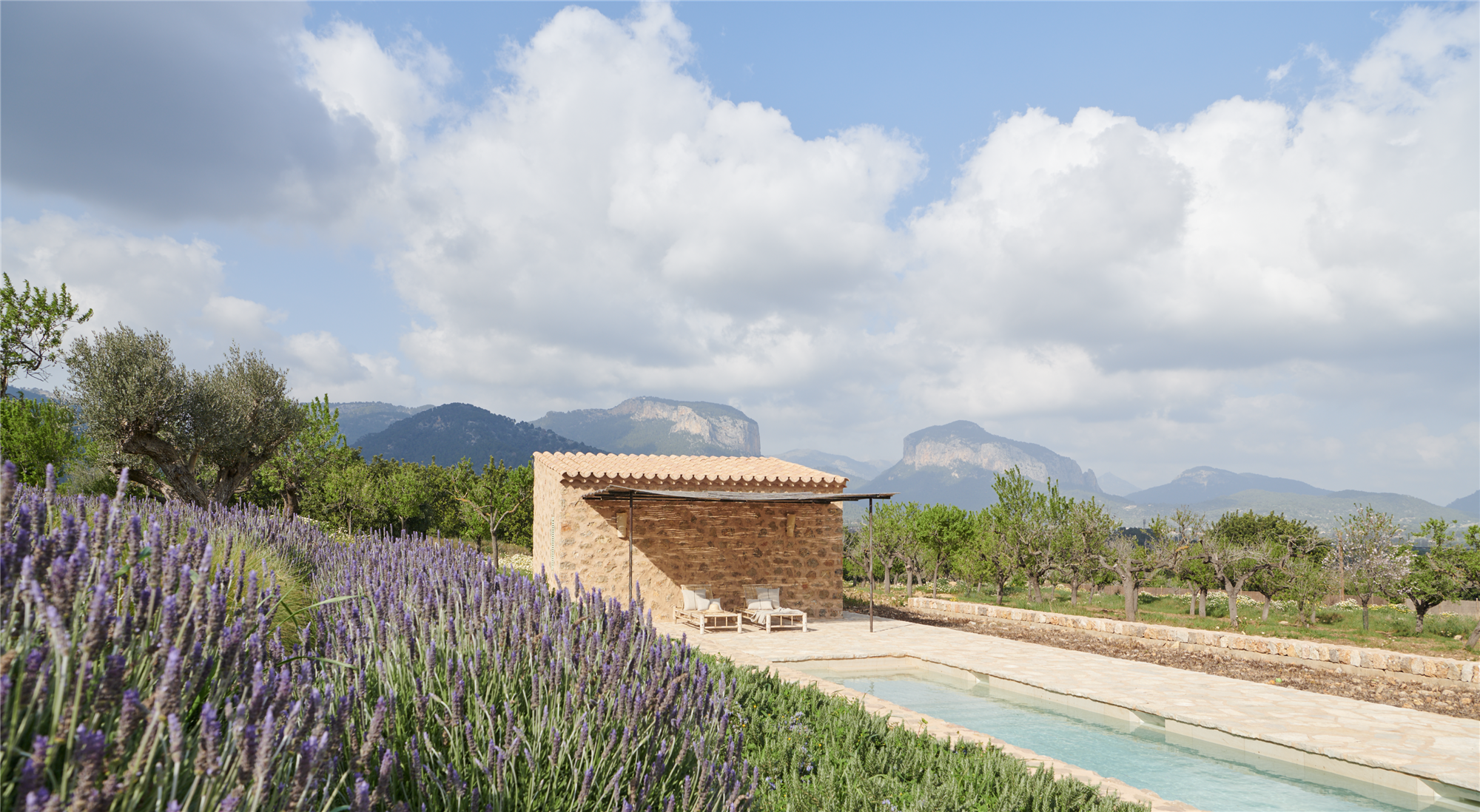 Jardin de lavanda con piscina natural en casa diseñada por el arquitecto Montis Sastre y el Interiorista Jorge Biblioni en Mallorca