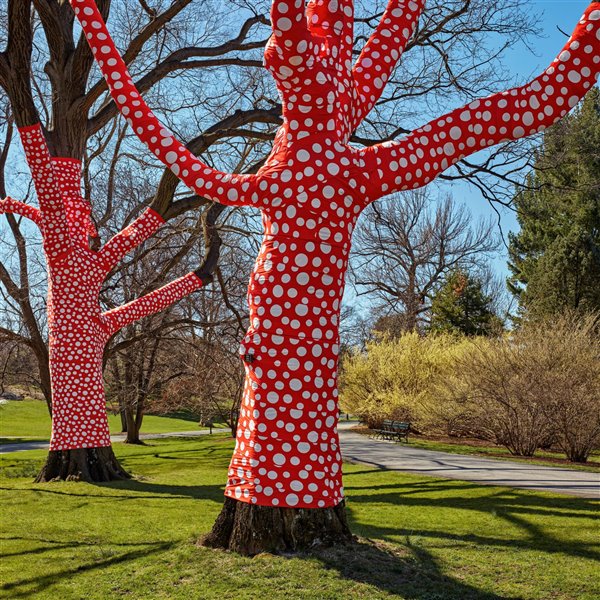 El jardín botánico de Nueva York homenajea a Yayoi Kusama