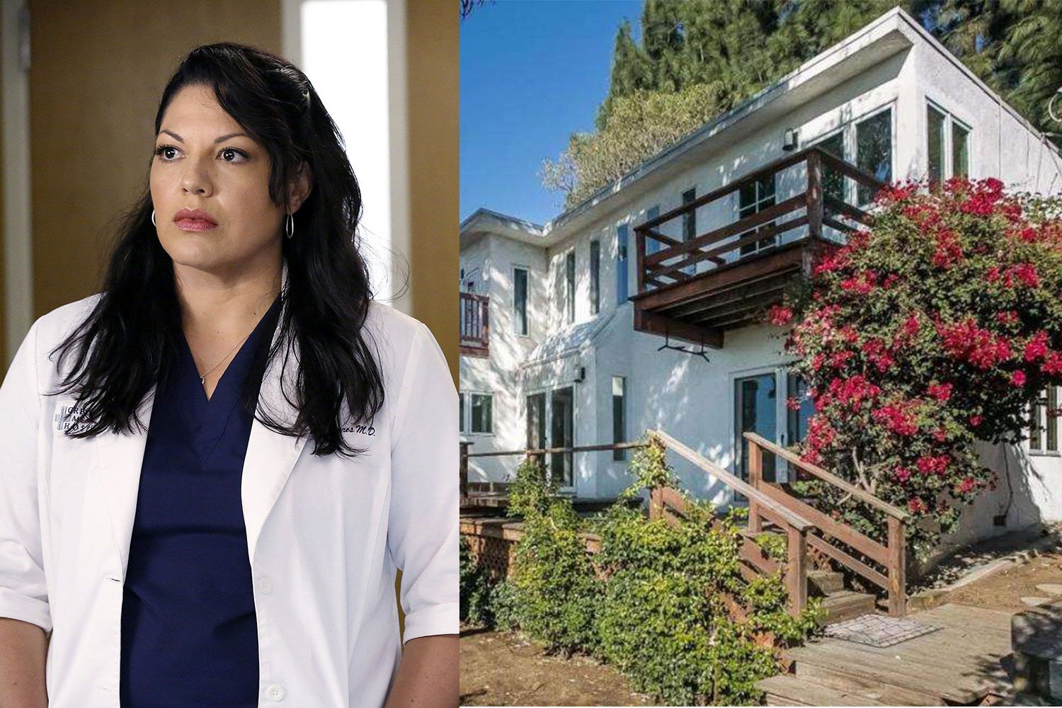 Casa de la actriz Sara RAmirez de la serie Anatomia de Grey