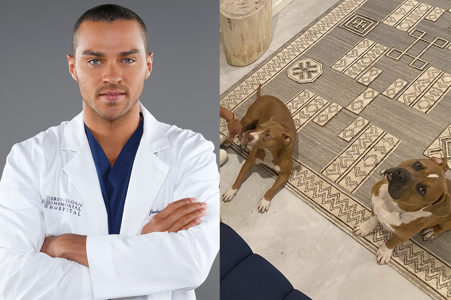 Casa del actor de anatomia de grey jesse williams