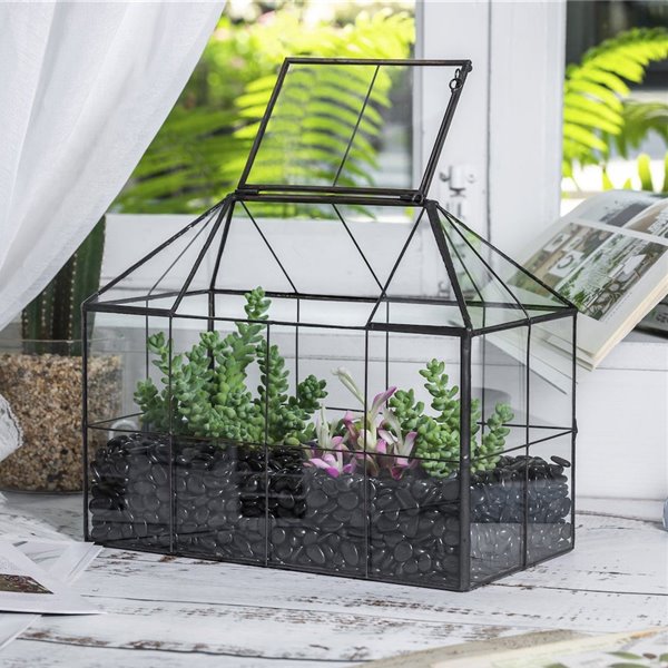 Cómo hacer un terrario de plantas para decorar de forma original tu casa
