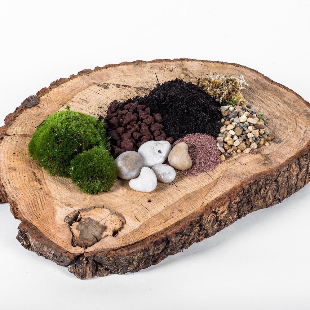 Tierra y piedras para terrario
