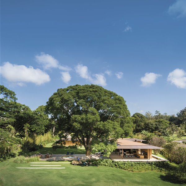 La moderna casa de madera en Brasil organizada a partir de un árbol