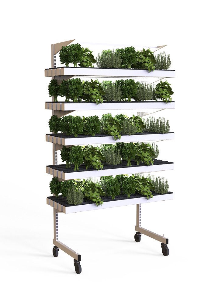 El sistema tiene capacidad hasta 128 plantas, básicamente pequeñas hortalizas y aromáticas.