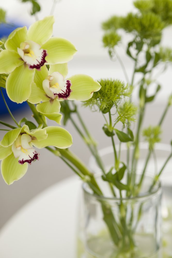 Jarron con orquideas de color amarillo pistacho. 4. Sin flor