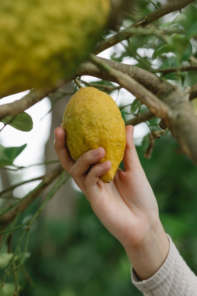 Mano cogiendo un limon