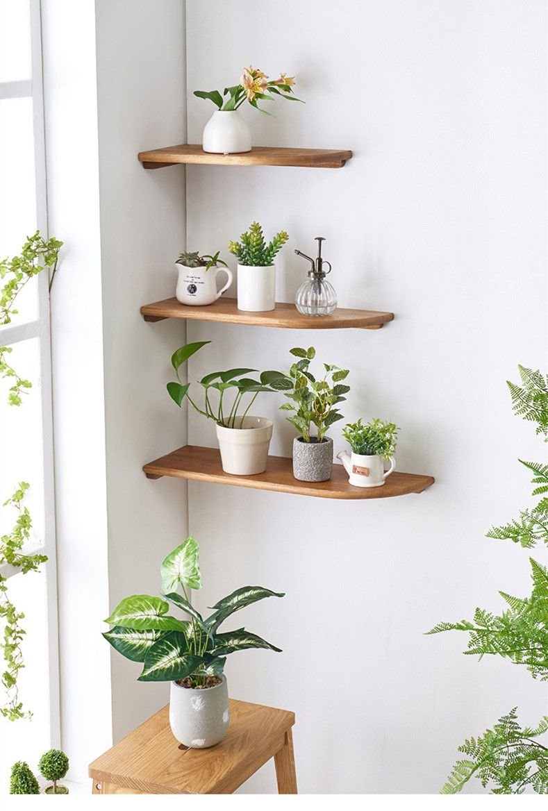 rincon con estanterias con plantas