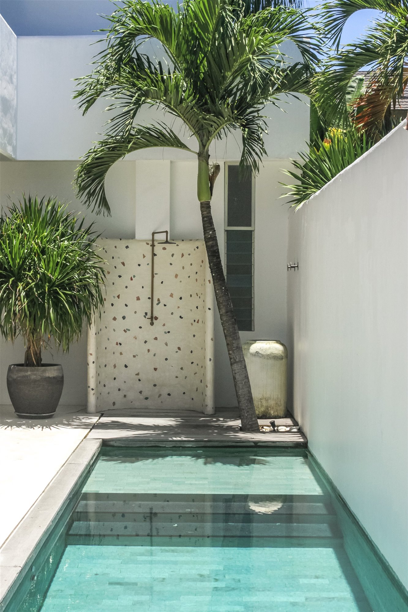 Casa de inspiracion mediterranea en Bali piscina con palmera
