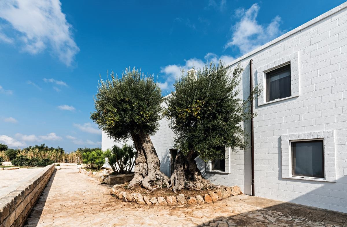 exterior con  olivos hotel italia