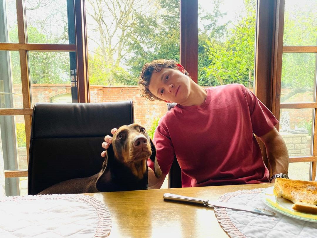 Casa del actor Tom Holland de Spiderman Marvel