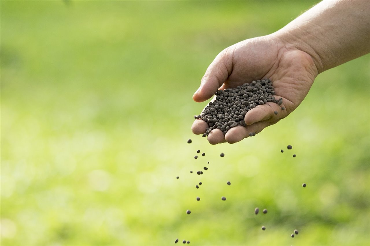 El hidrógeno también puede utilizarse para producir fertilizantes bajos en carbono que permitirían una agricultura intensiva más respetuosa con el medioambiente.