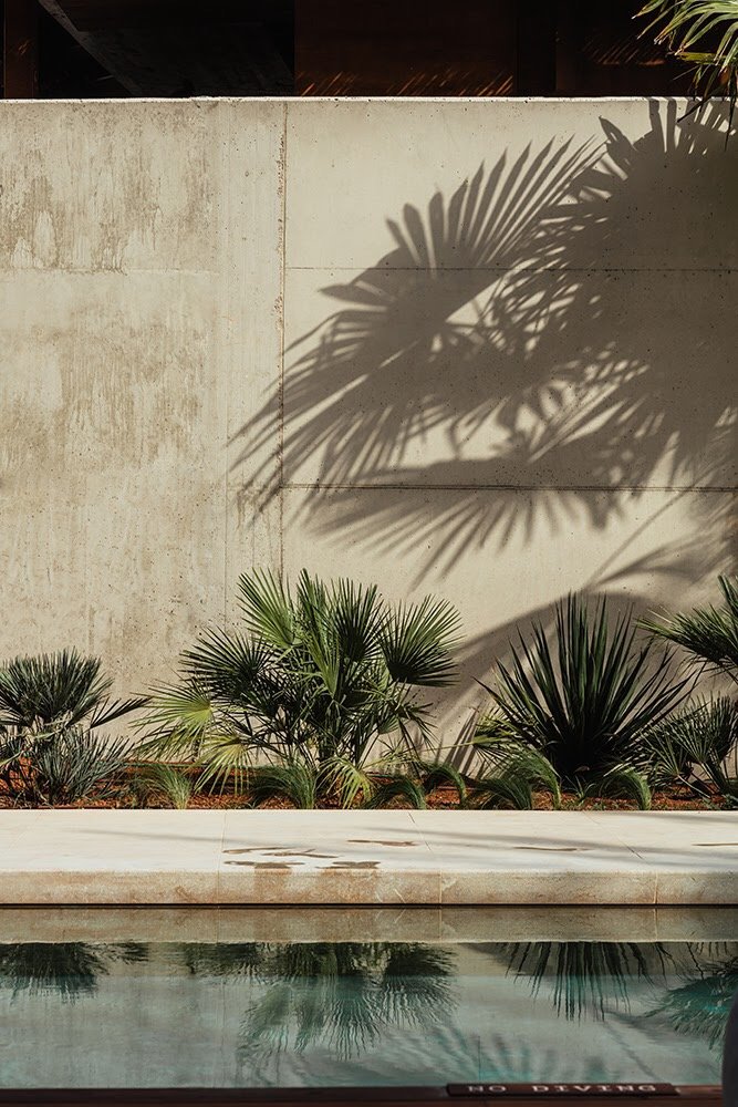 detalle de la piscina oku Ibiza, cemento visto, palmeras