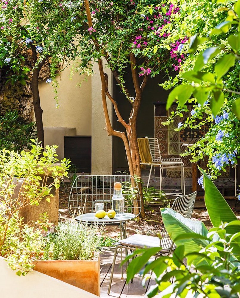 jardin-exterior-con-arboles-y-sillas-cromadas ee557a6b 750x930