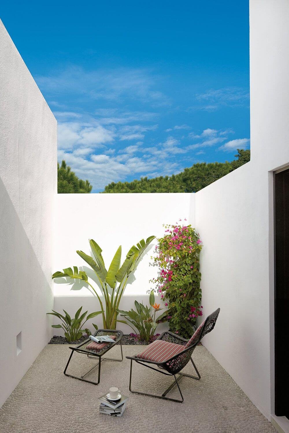 Decorar con plantas