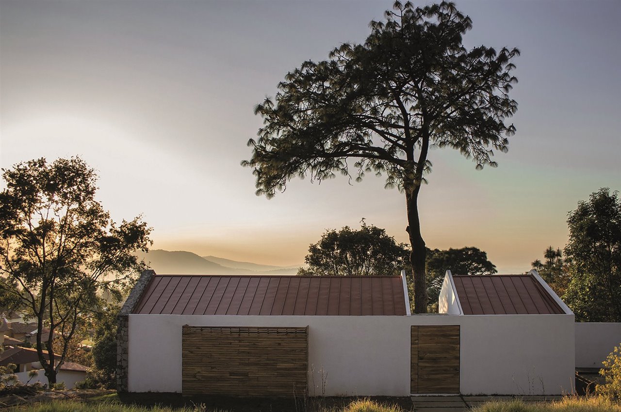 Proyecto House Built Around a Pine Tree, del estudio EMA Designs en México, construido según los principios de la arquitectura vernácula.