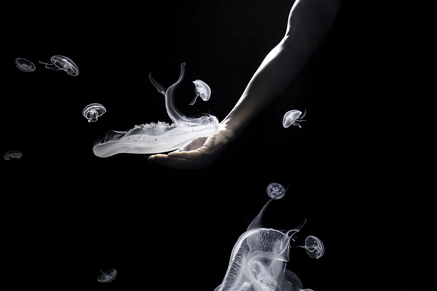 Fotos exposición Isabel Muñoz en Photoespaña Somos Agua. ISABEL-MUÑOZ-PHOTOESPAÑA-SOMOS-AGUA-EXPOSICION-01