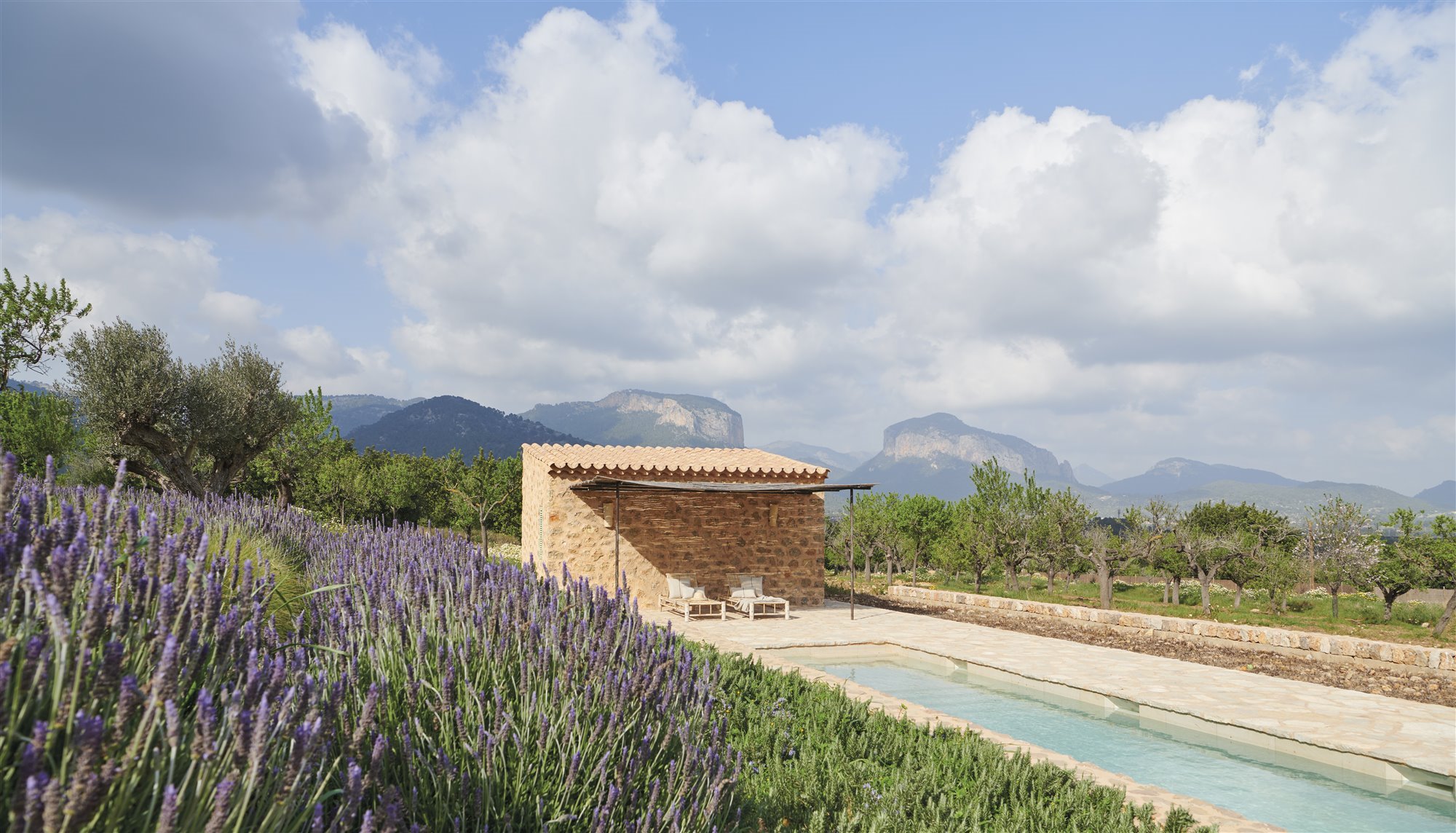 Casa en el campo de Mallorca con muros de piedra piscina