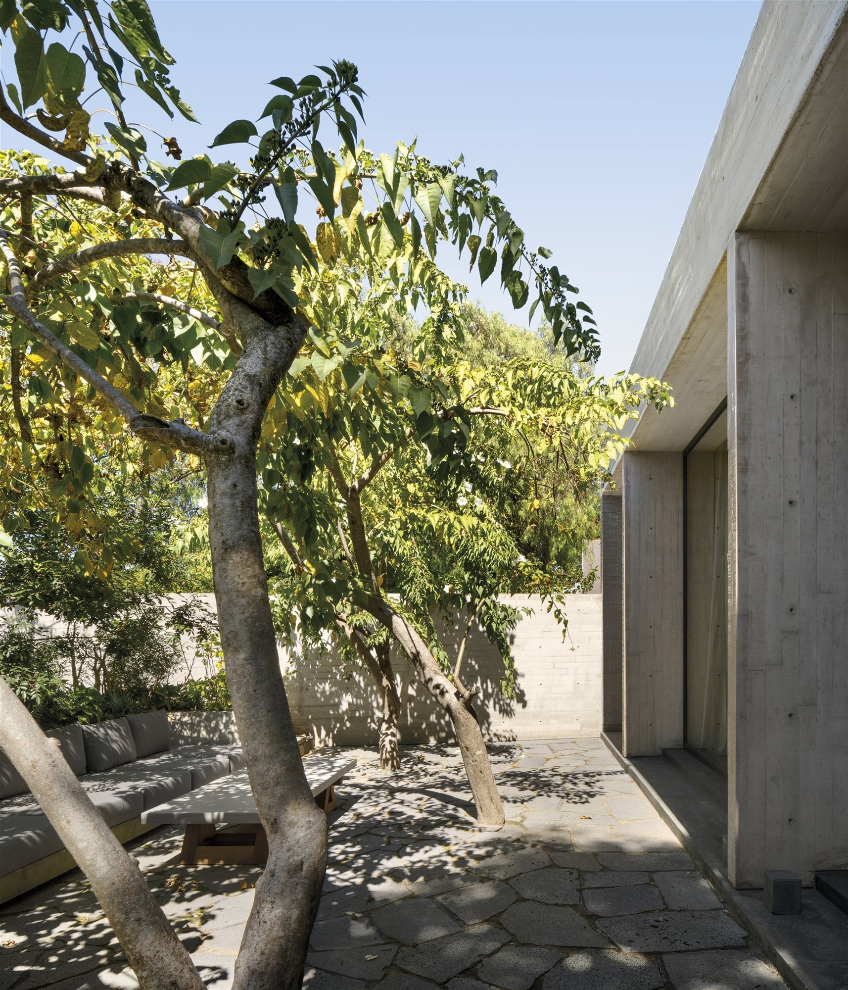 Casa moderna con interiores de madera en Mexico jardin