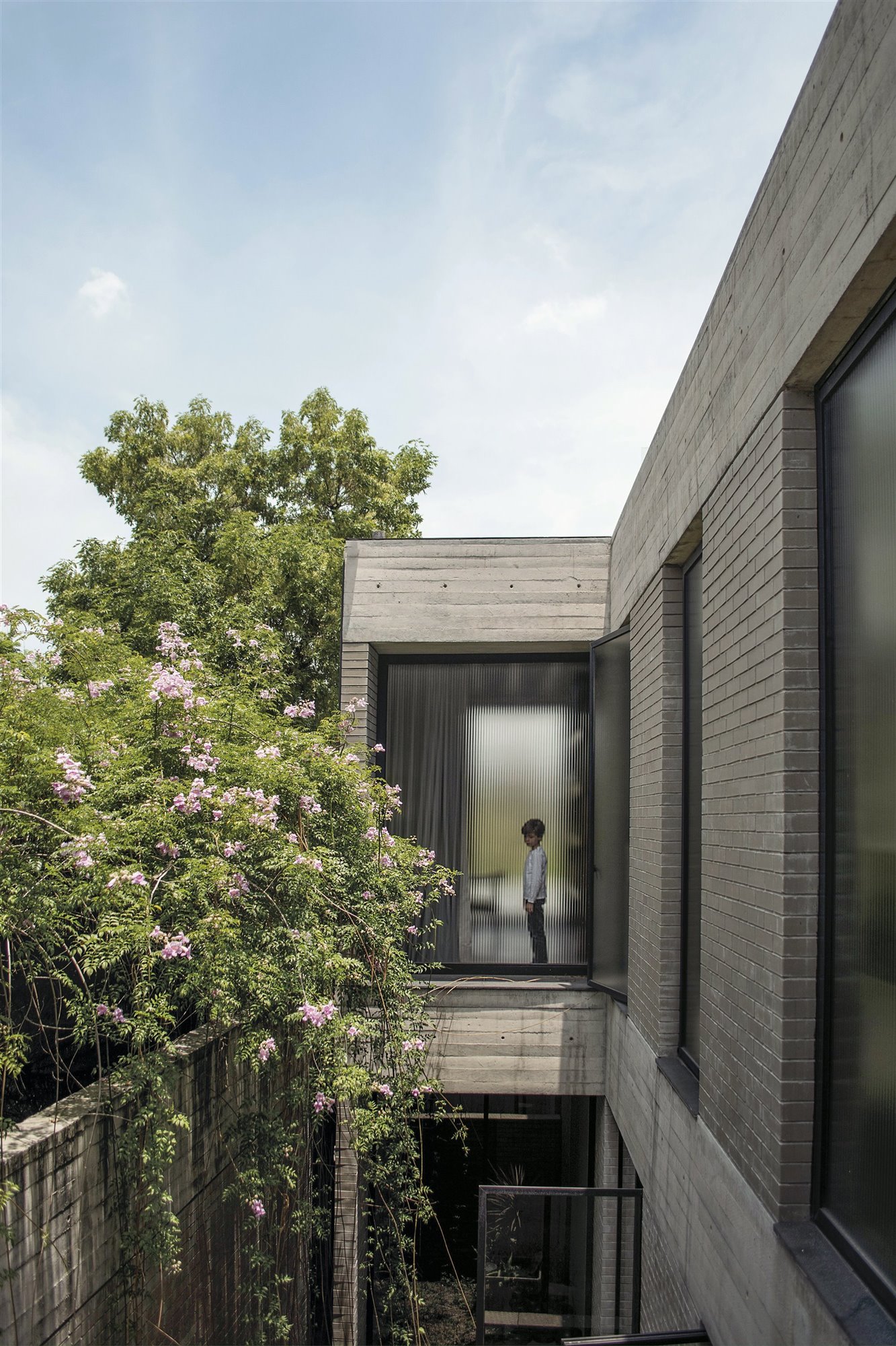 Casa moderna con interiores de madera en Mexico ventana