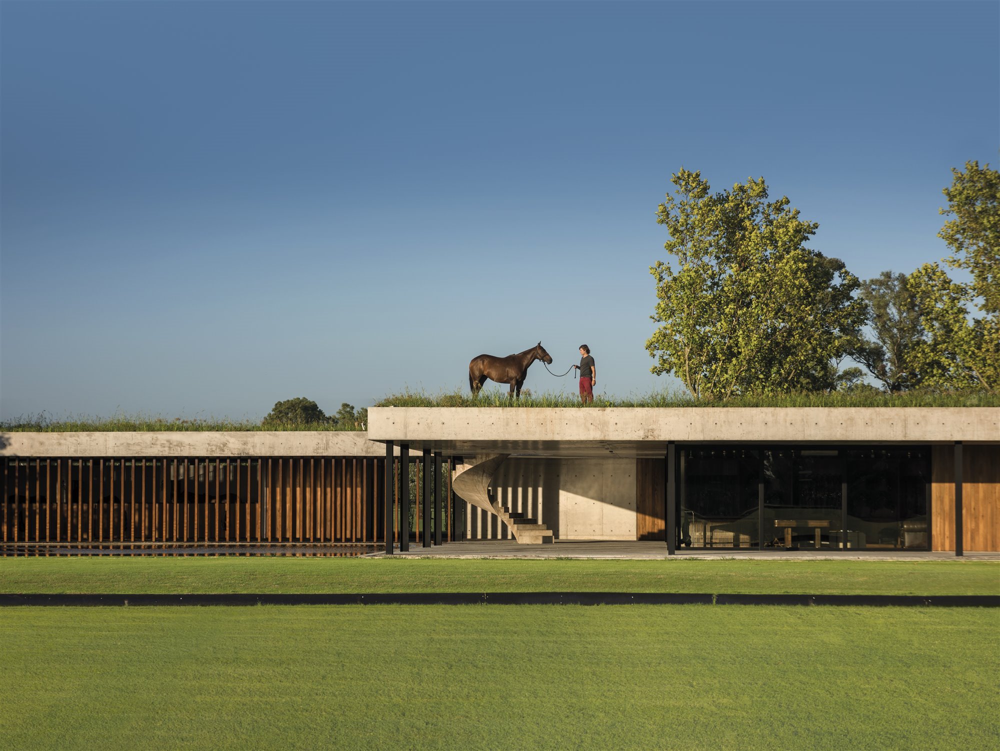 Casa moderna en Argentina con techos de hierba y muros de hormigón caballo sobre el tejado