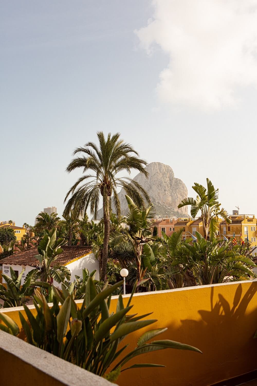 Pared de terraza pintada de amarillo y palmeras