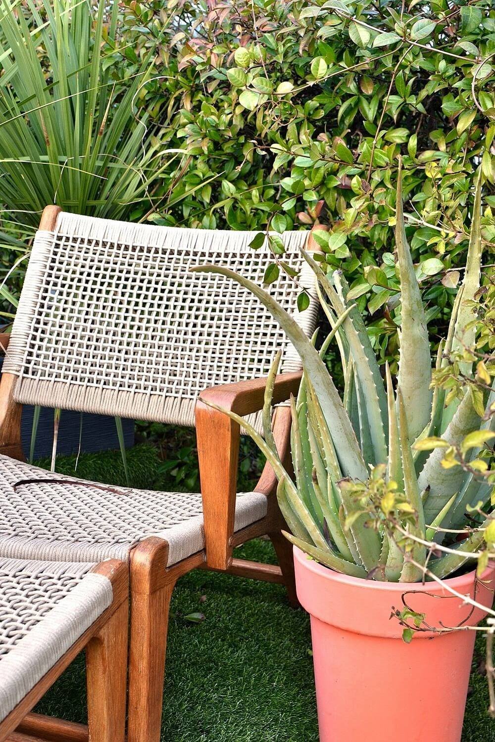 Terraza con silla con reposapiés, cactus y césped
