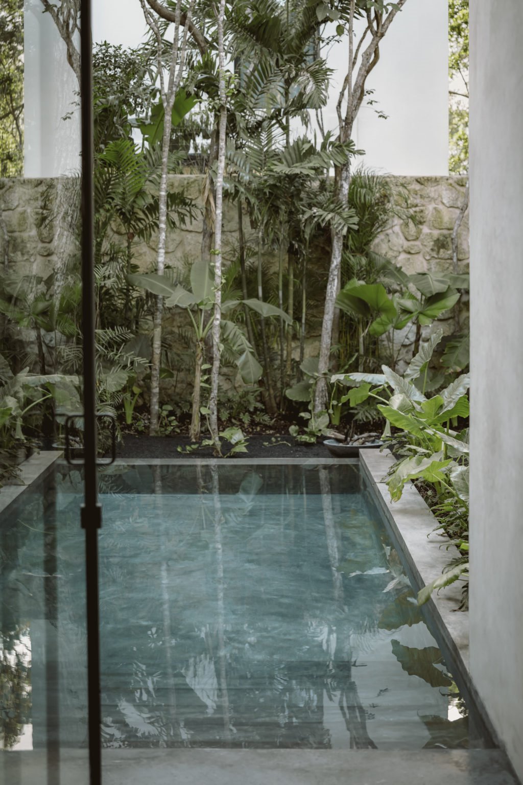 Aviv House Tulum Mexico piscina 2