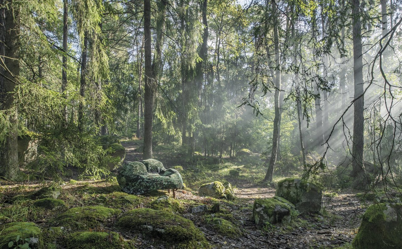 Los seis asientos de la colección Nature Furniture surgidos del proyecto Design by Nature están diseñados para imitar varios objetos que se encuentran en la naturaleza, como ramas, rocas cubiertas de musgo, líquenes y algas. 