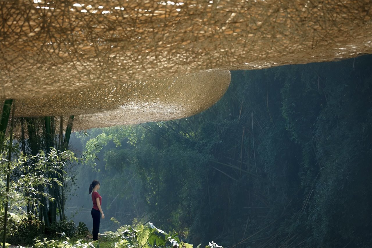 Impactante imagen que muestra el tejado del pabellón suspendiéndosela ante la infinita naturaleza, el suelo repleto de monsteras en su hábitat natural, la luz es un puro espectáculo.