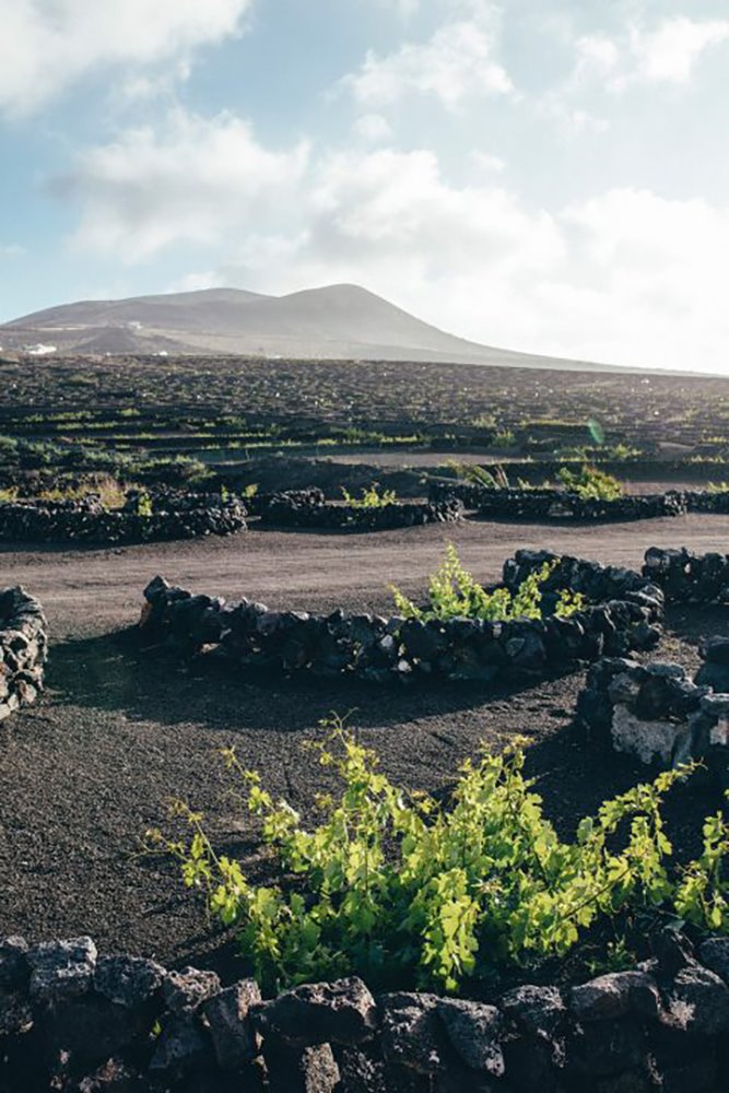 buenavista lanzarote bouticque hotel sostenible y rural entre viñedos6