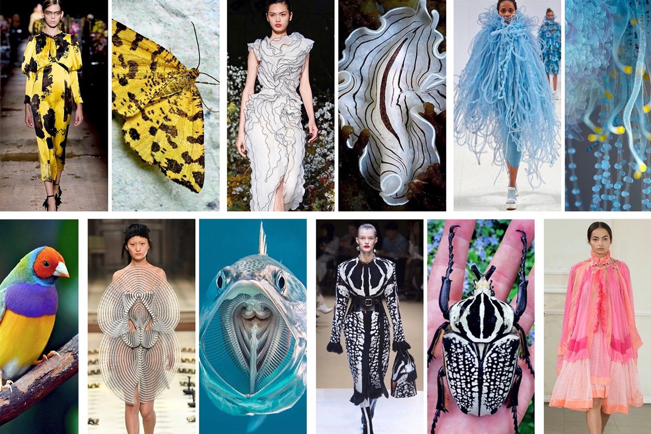 En su cuenta de Instagram @fashion.biologique Jill Sherman compara los vestidos de las pasarelas con seres de la naturaleza.