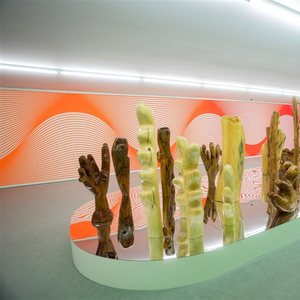 WWF y el Museo Thyssen-Bornemisza suman fuerzas a través del arte para defender la pervivencia de los corales