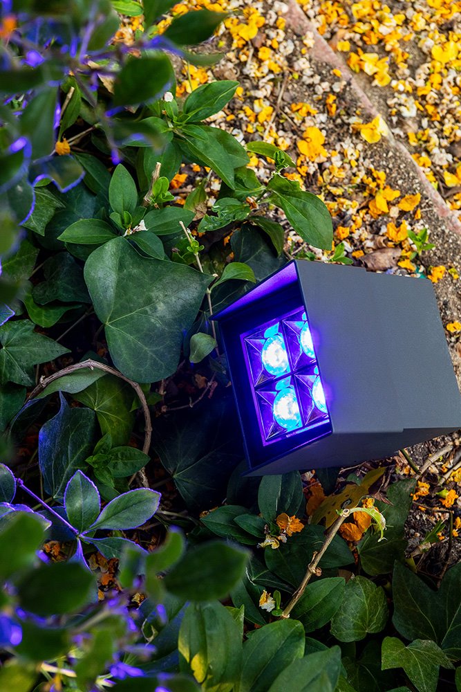 Además de los 16 aros realizados a medida, la instalación contó con tiras de LED, proyectores Cube Pro RGBW, luminarias Tron para el restaurante y el modelo Taglio Surface para la zona de la fuente.