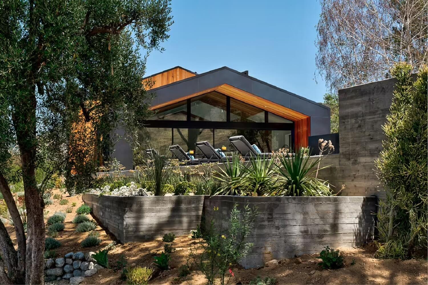 Casa California exterior cactus