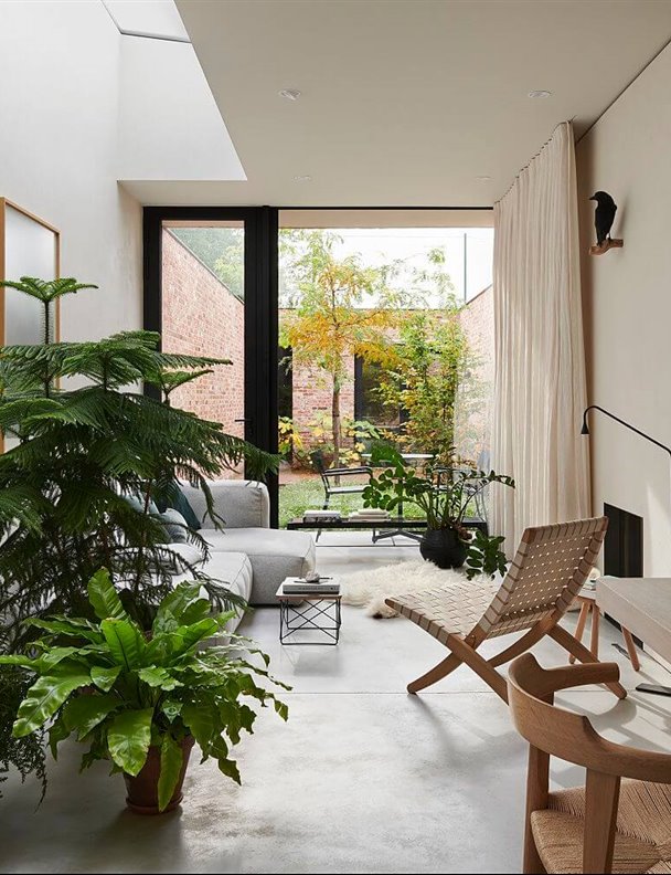 Dónde, cómo, cuántas y qué plantas elegir para decorar tu casa