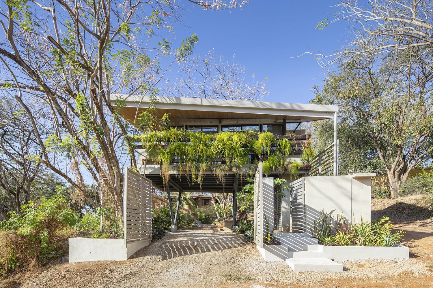 casa jardín costa rica lsd architects exterior 03