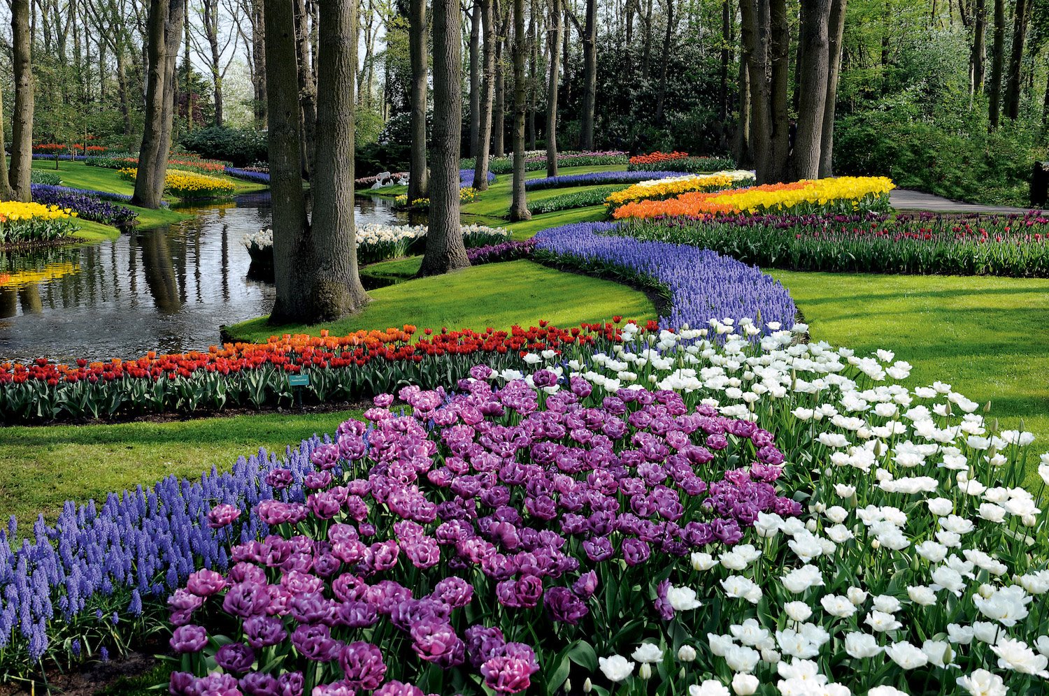 libro the gardeners garden jardines paisajismo 8