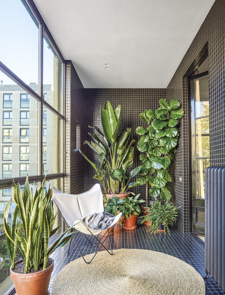 Detalles decorativos que aportan lujo grandes plantas
